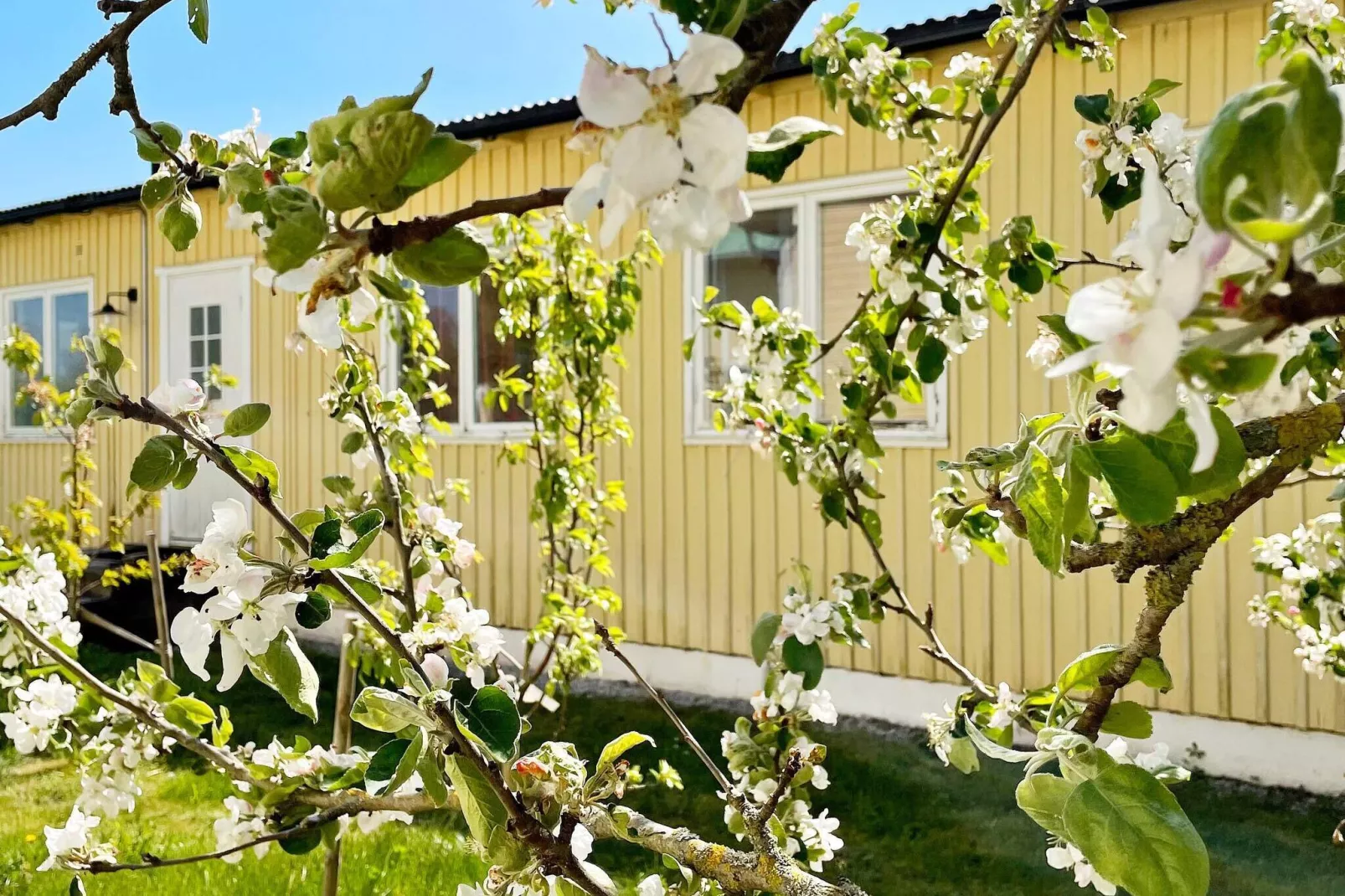 5 person holiday home in Romakloster-By Traum