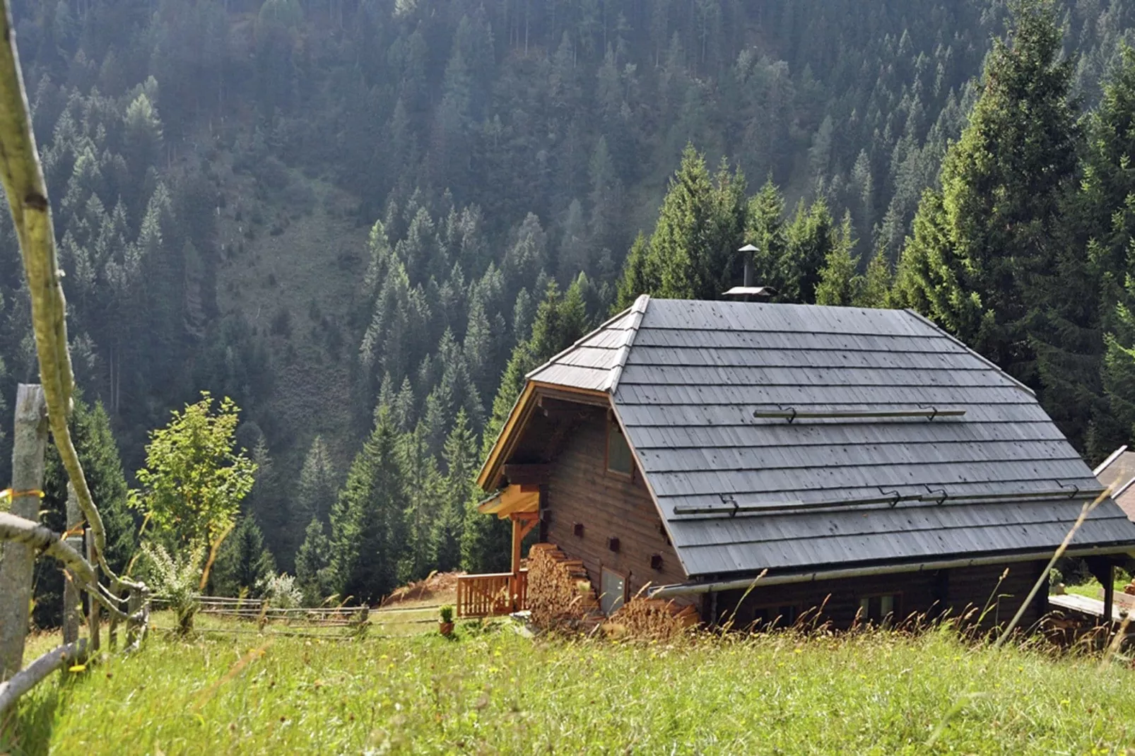 Almhütte im Walde-Exterior summer