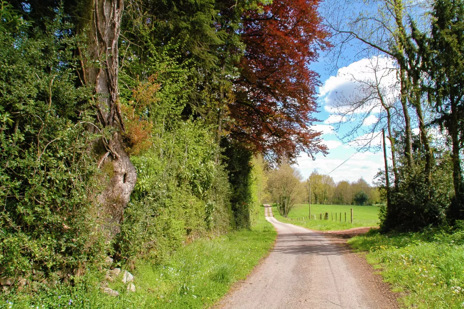 Montizon-Areas summer 1km