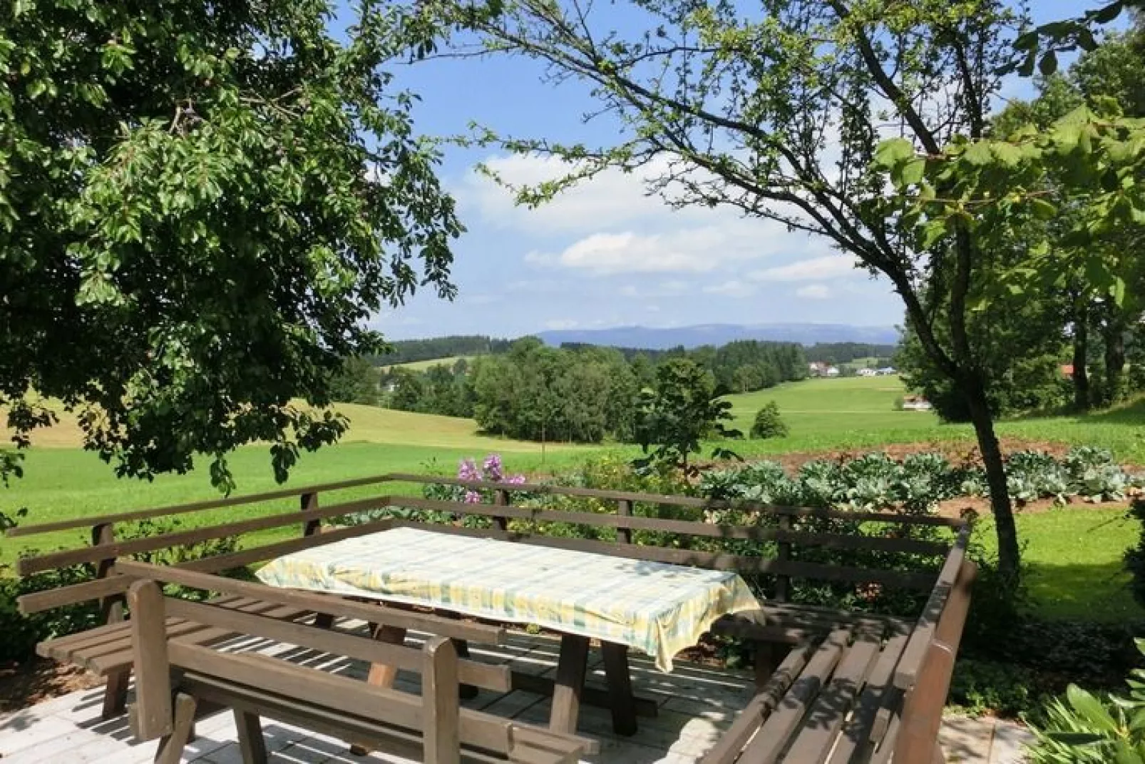 Gästehaus Kandlbinder-Gardens in summer