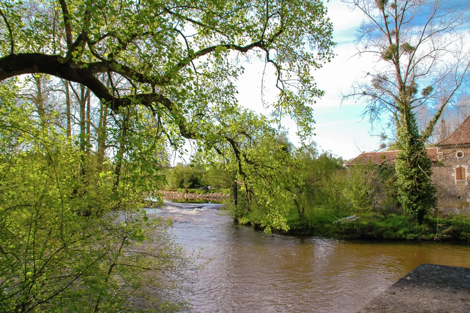 Montizon-Areas summer 1km