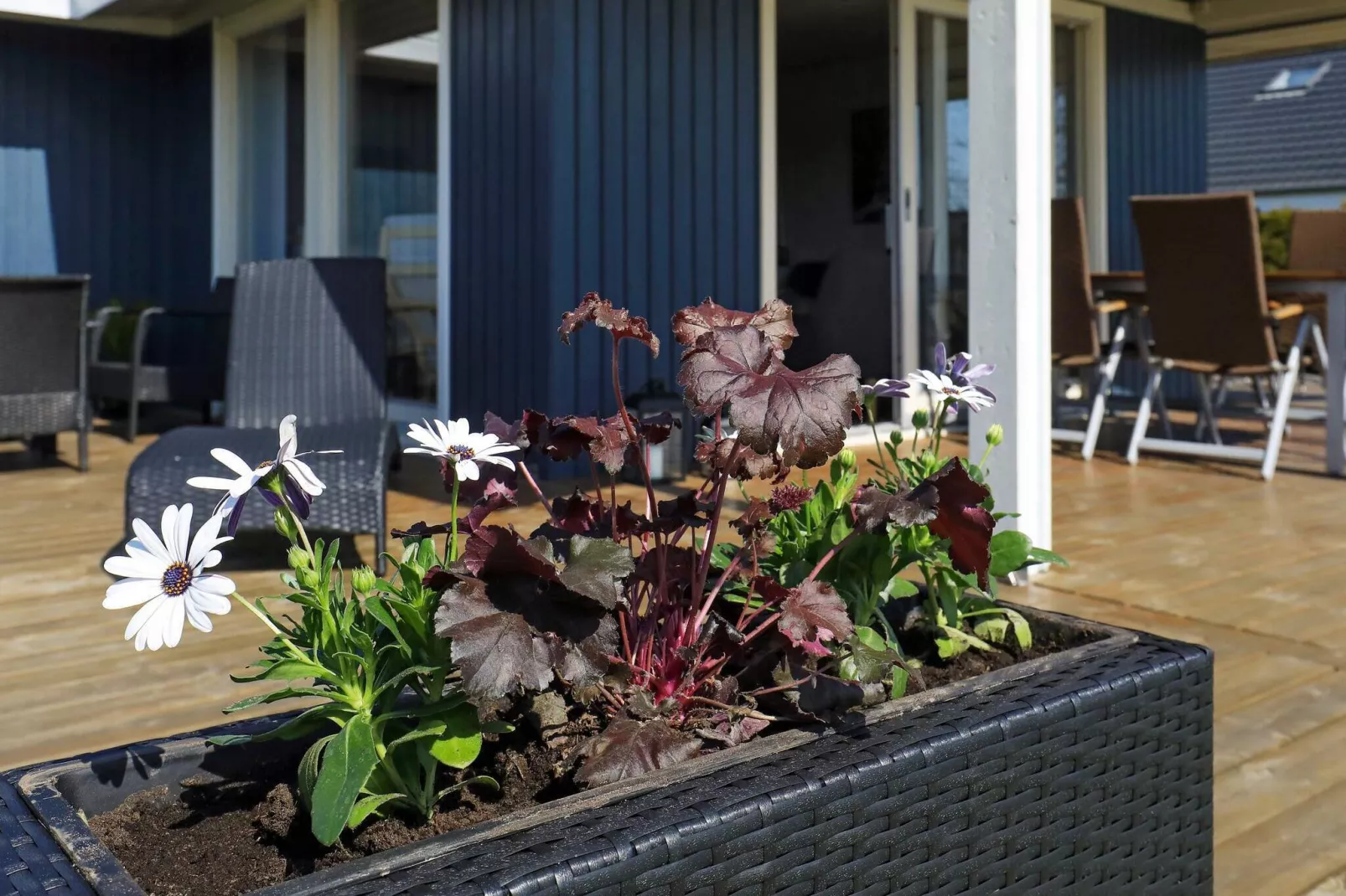 Maison de vacances pour 6 a Otterup-Vue