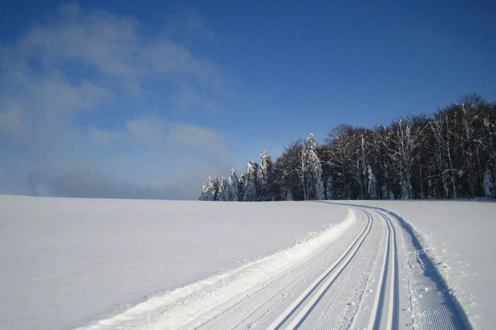 Gästehaus Kandlbinder-Area within 20km in winter