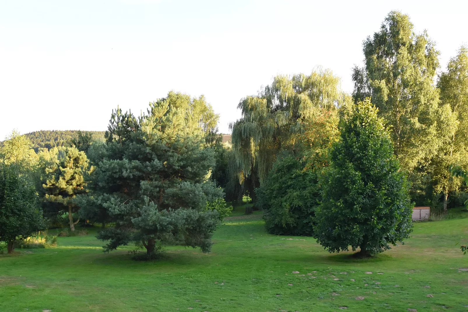 Waldferien-Gärten Sommer