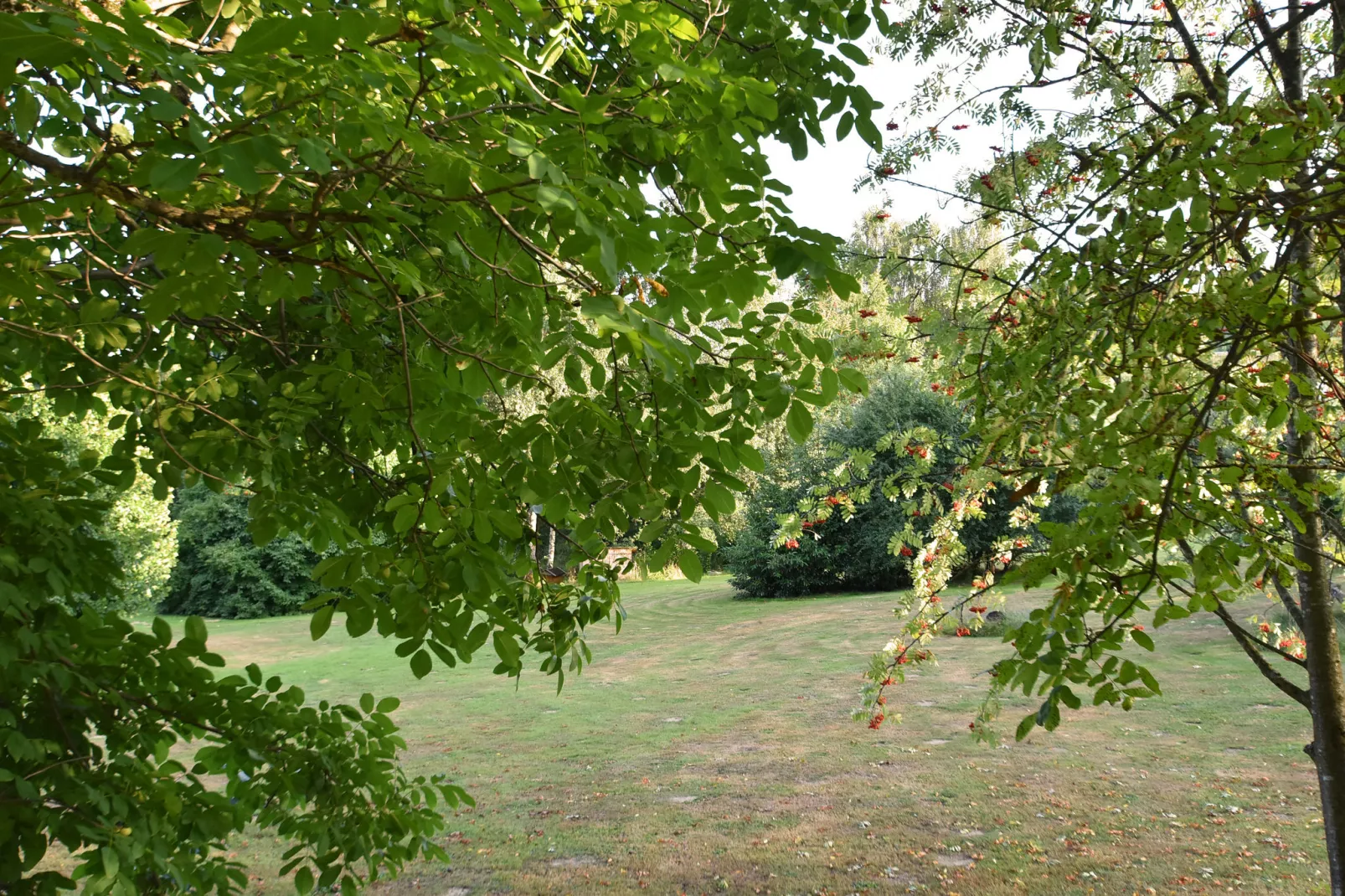 Waldferien-Aussicht Sommer