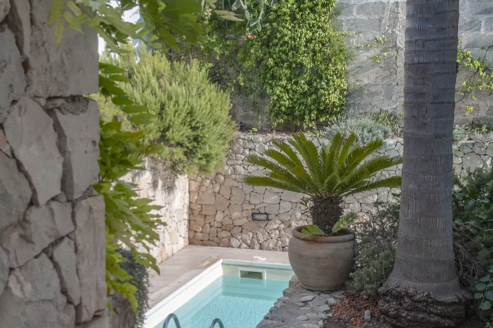 Quattro Colonne Uno con Piscina-Pool