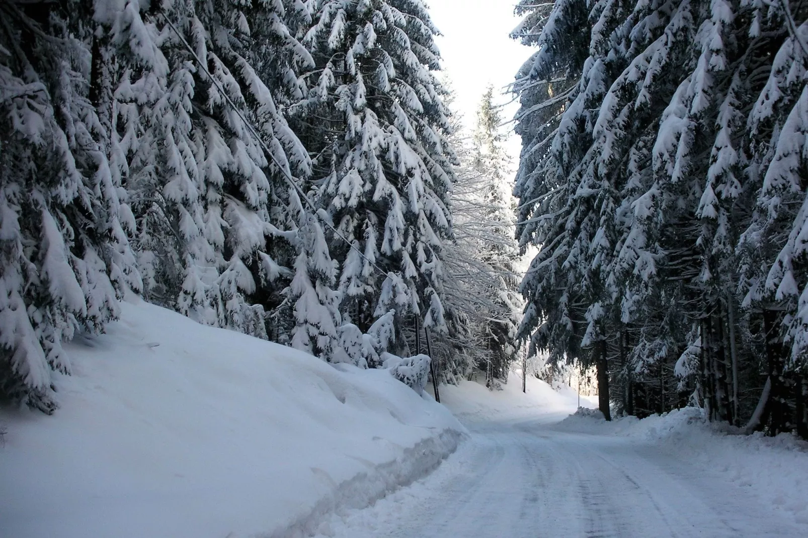 Barzaunerhof / Apartment 3-Area winter 1km