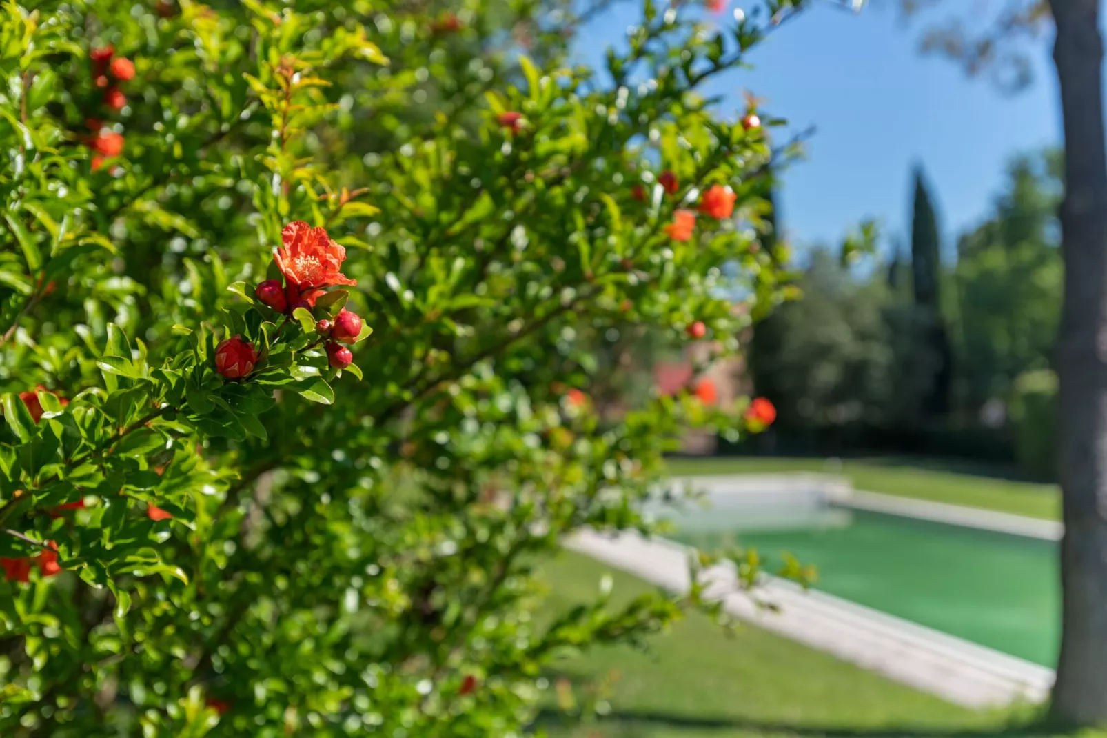 Relais Rignano 4-Atmosphere