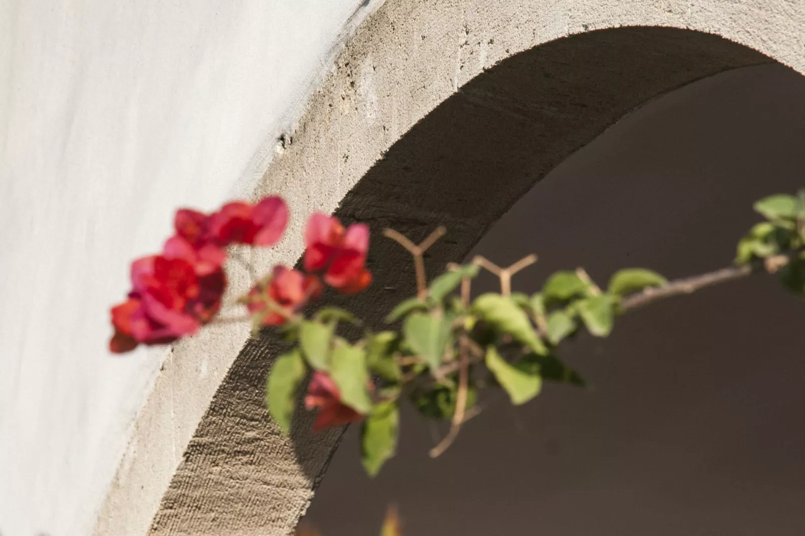 Quattro Colonne Tre-Außenbereich Sommer