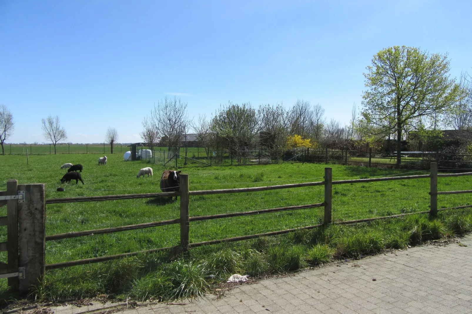 Frontzate-View summer