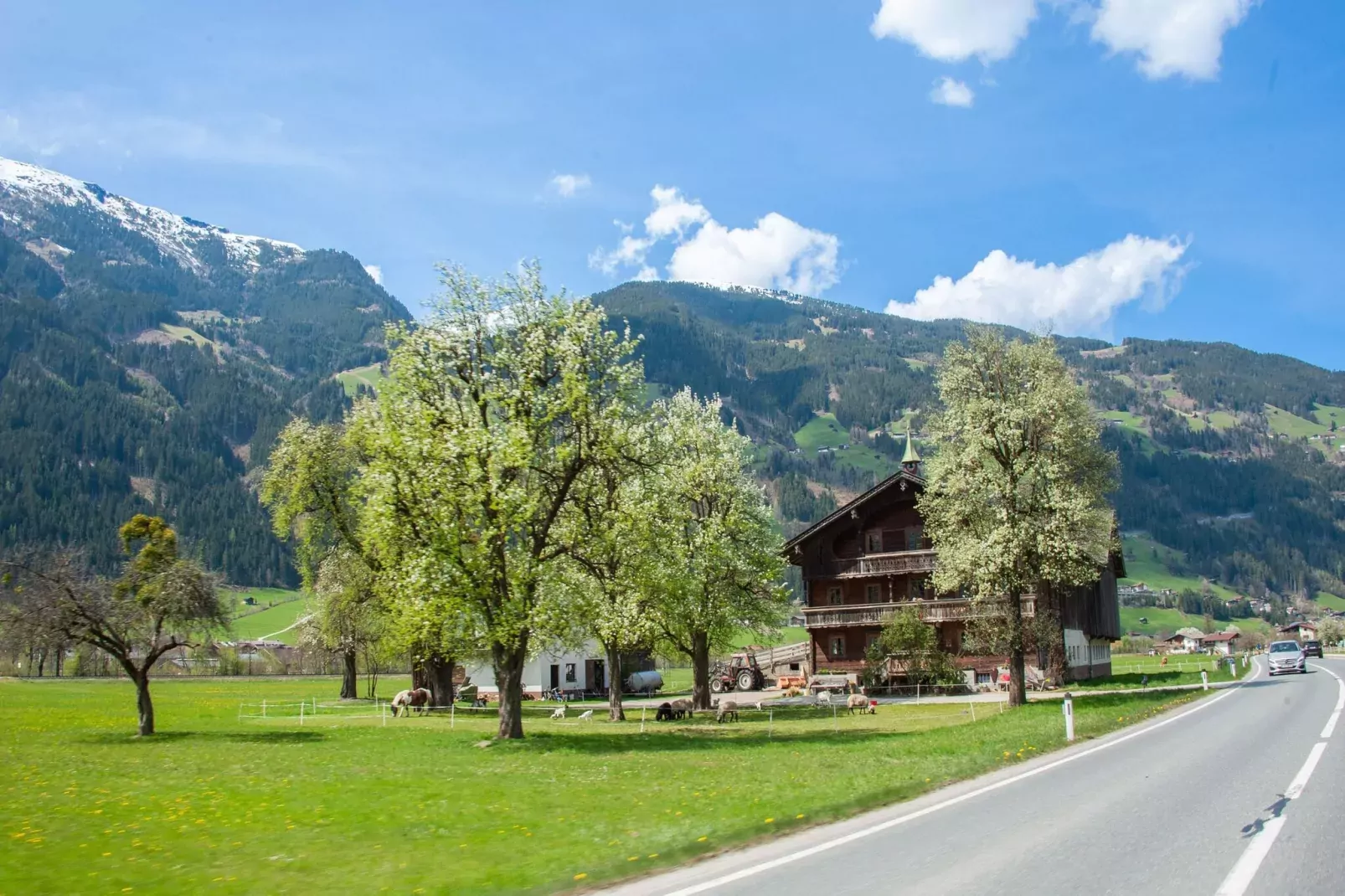 Schmalzl II-Areas summer 1km
