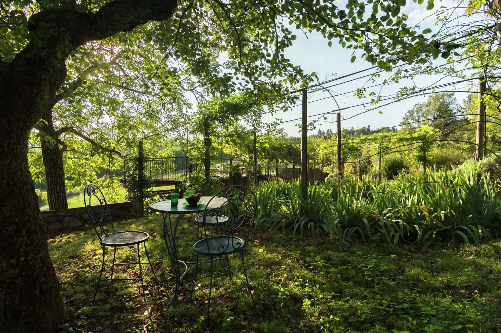 Villa Pepi-Gardens summer