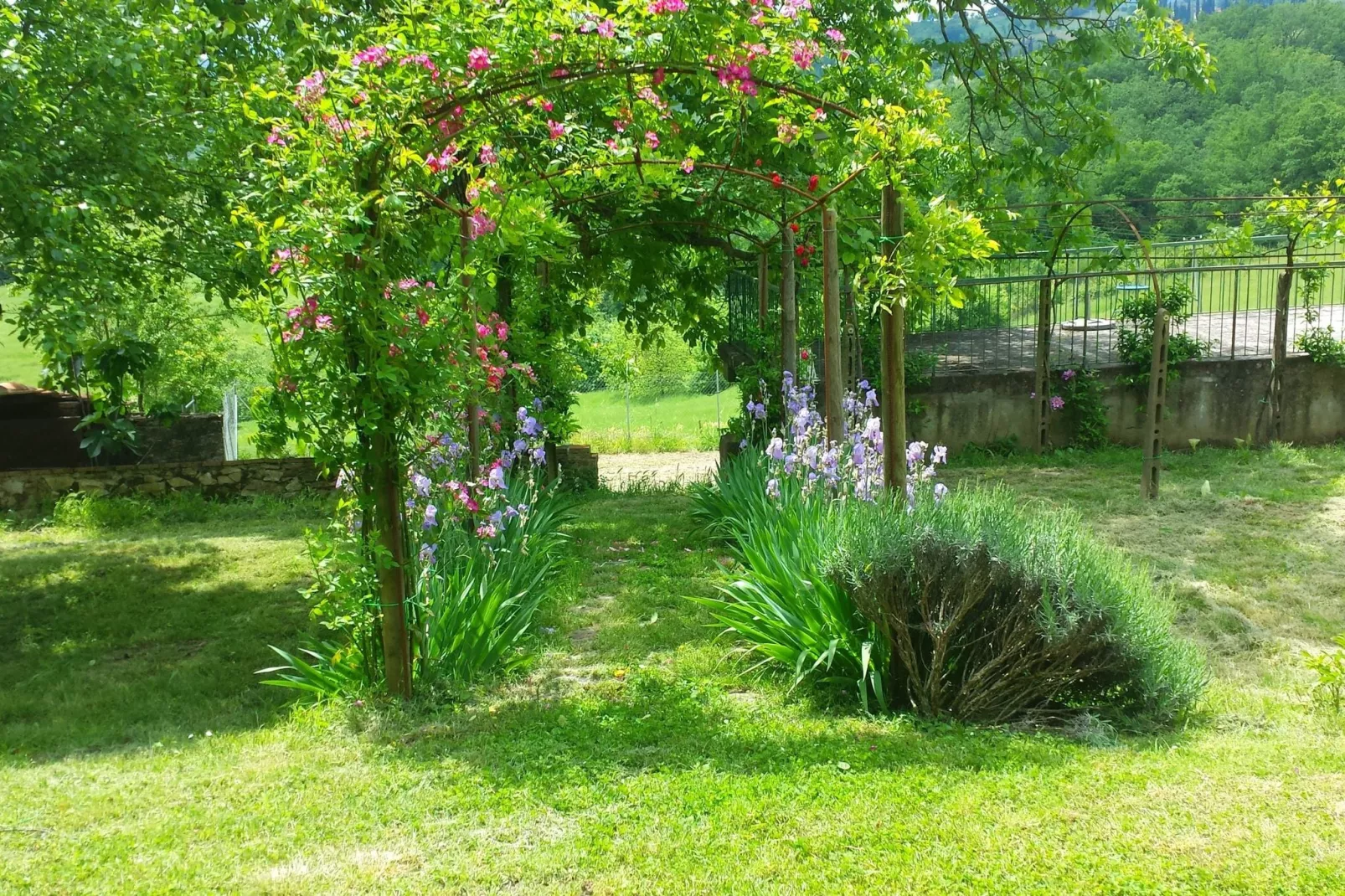 Villa Pepi-Gardens summer