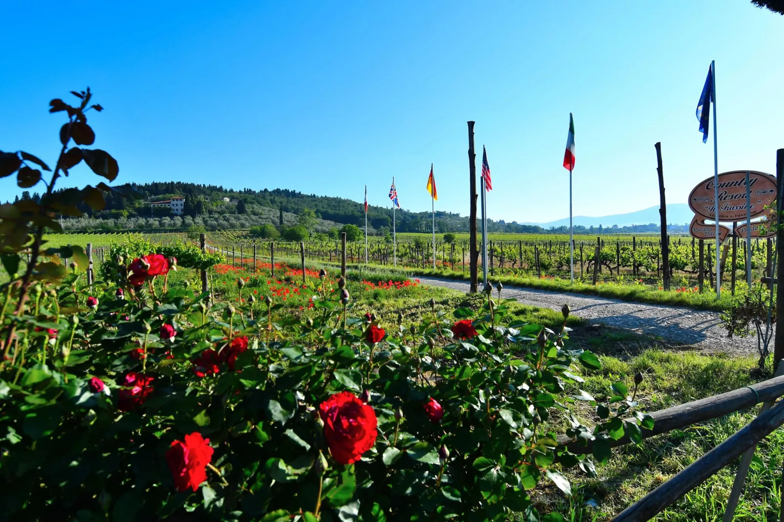 Country Resort Il Frassine-Jardin d'été
