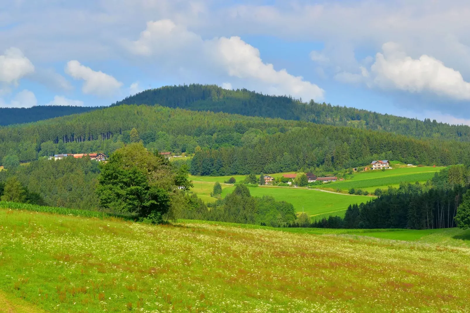 Im Zellertal-View in summer
