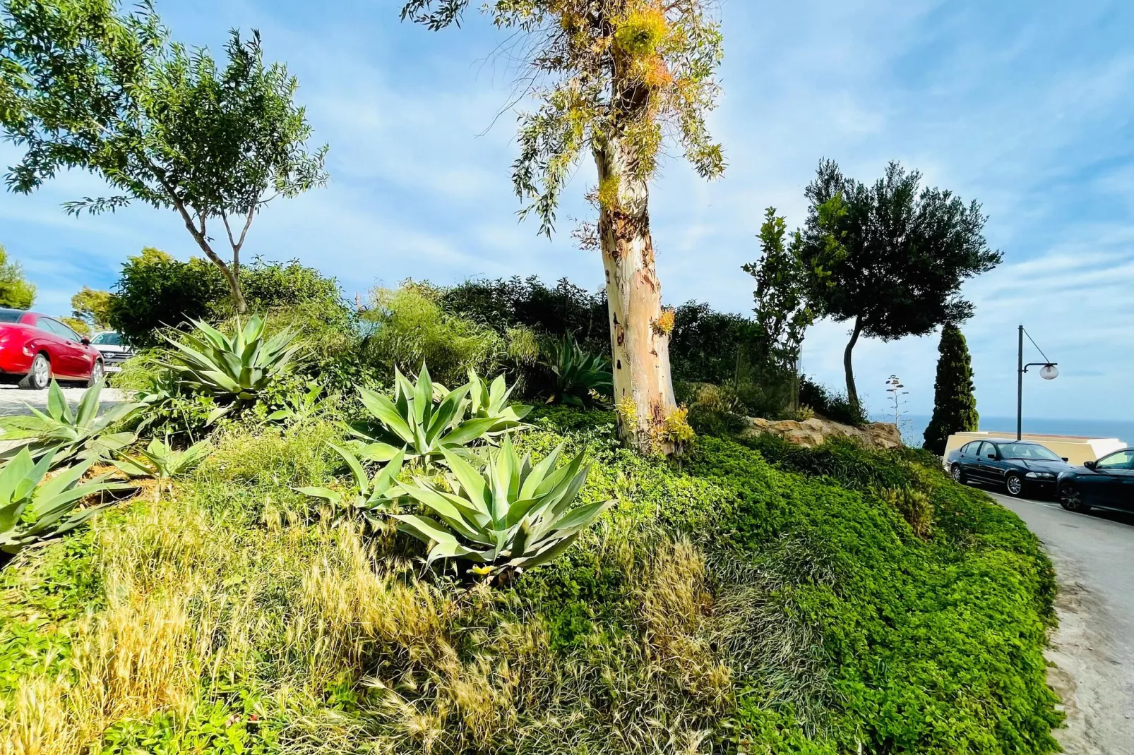 Espejo del Mar V-Gardens summer