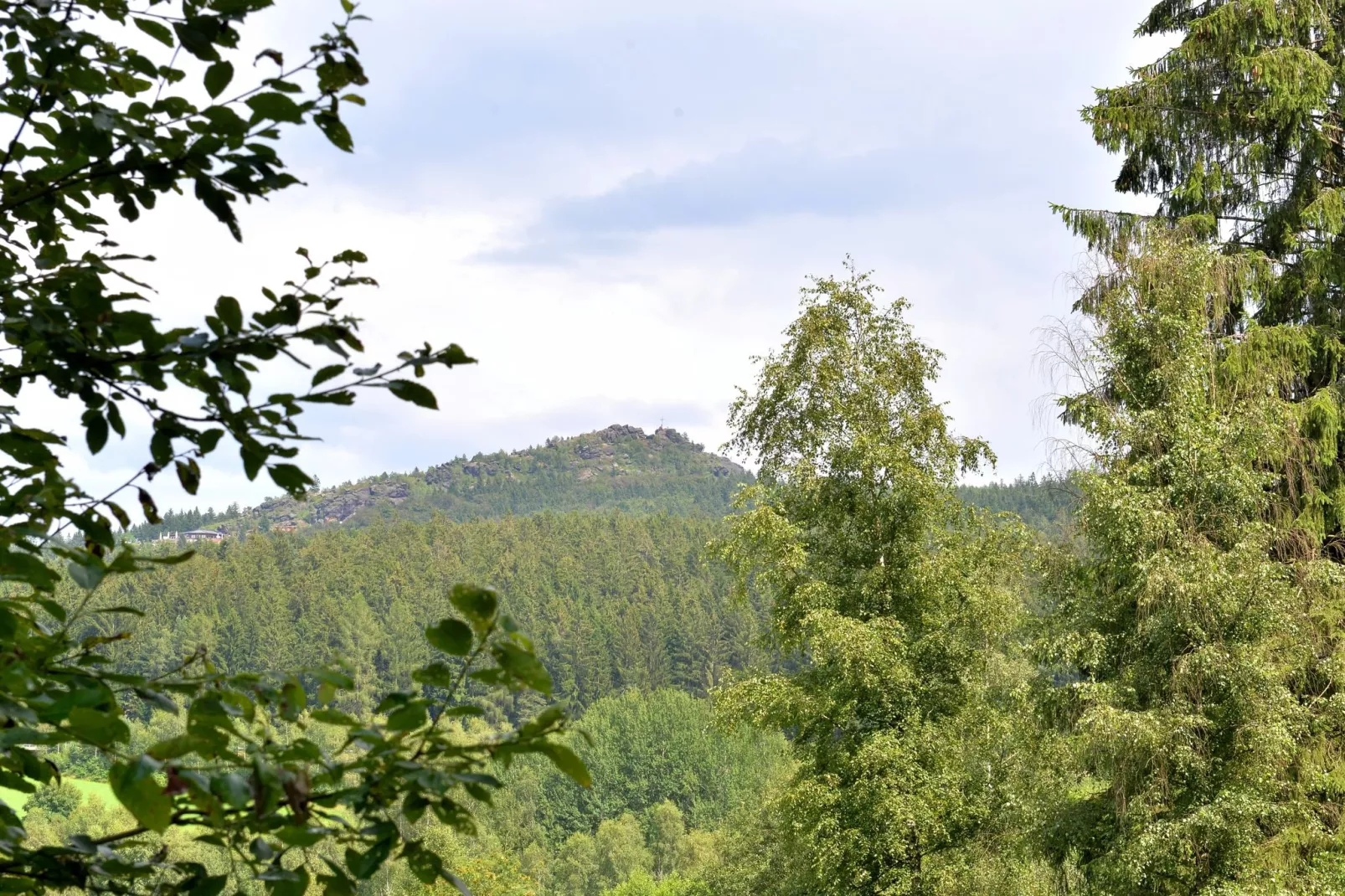 Bayerischer Wald-View in summer