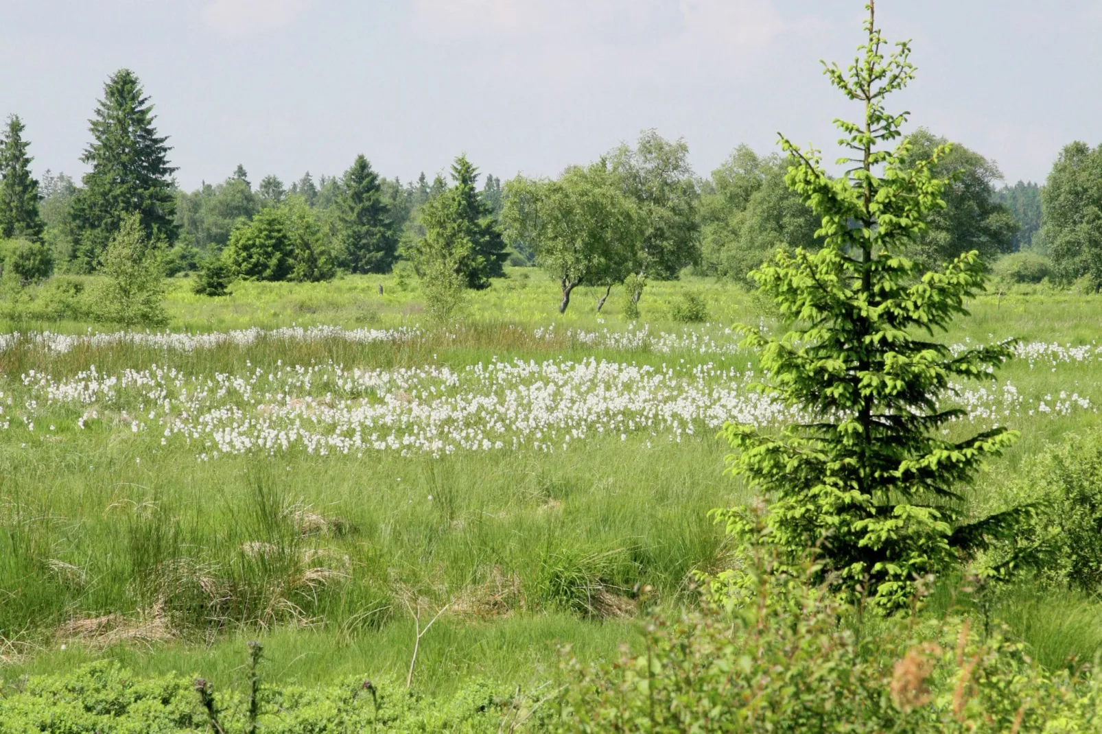 Le Moulin d'Ondenval-Areas summer 20km