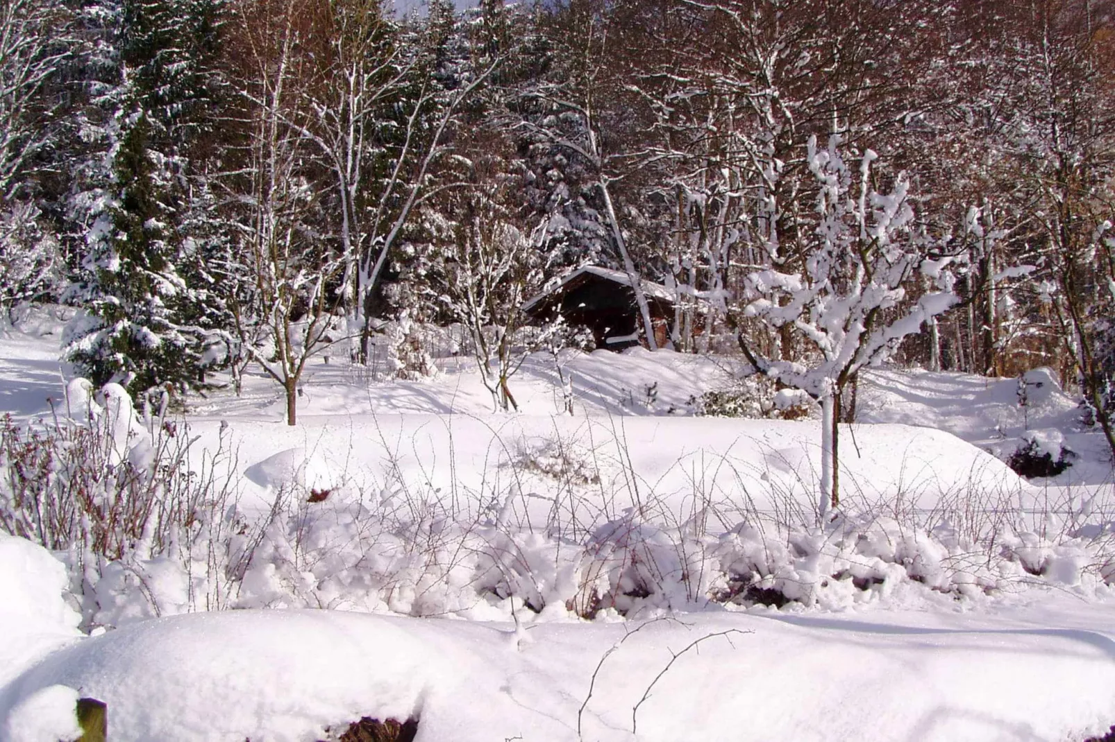 Weidhaus-Area winter 1km
