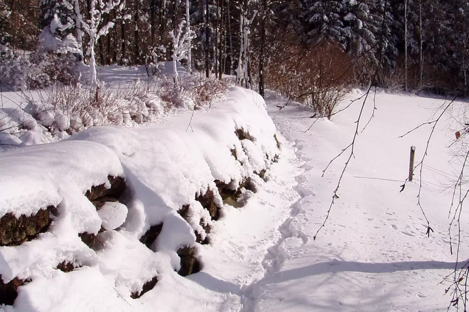 Weidhaus-Area winter 1km