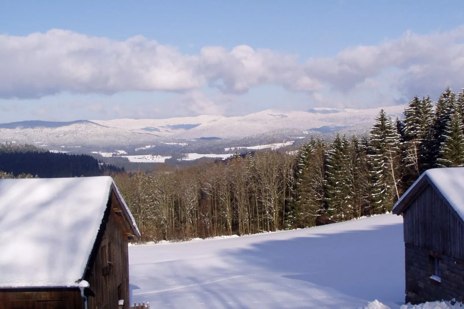 Weidhaus-Area winter 1km