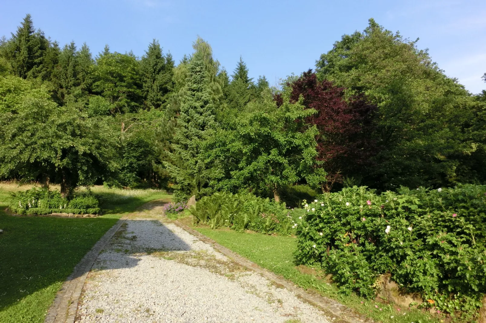 Weidhaus-Gardens summer