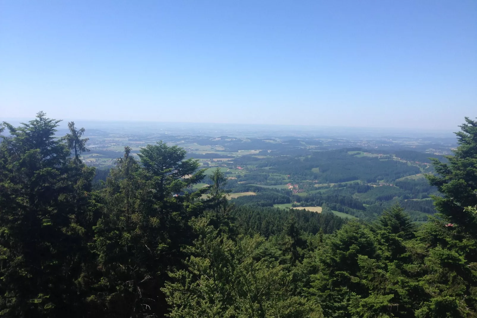 Weidhaus-Areas summer 20km