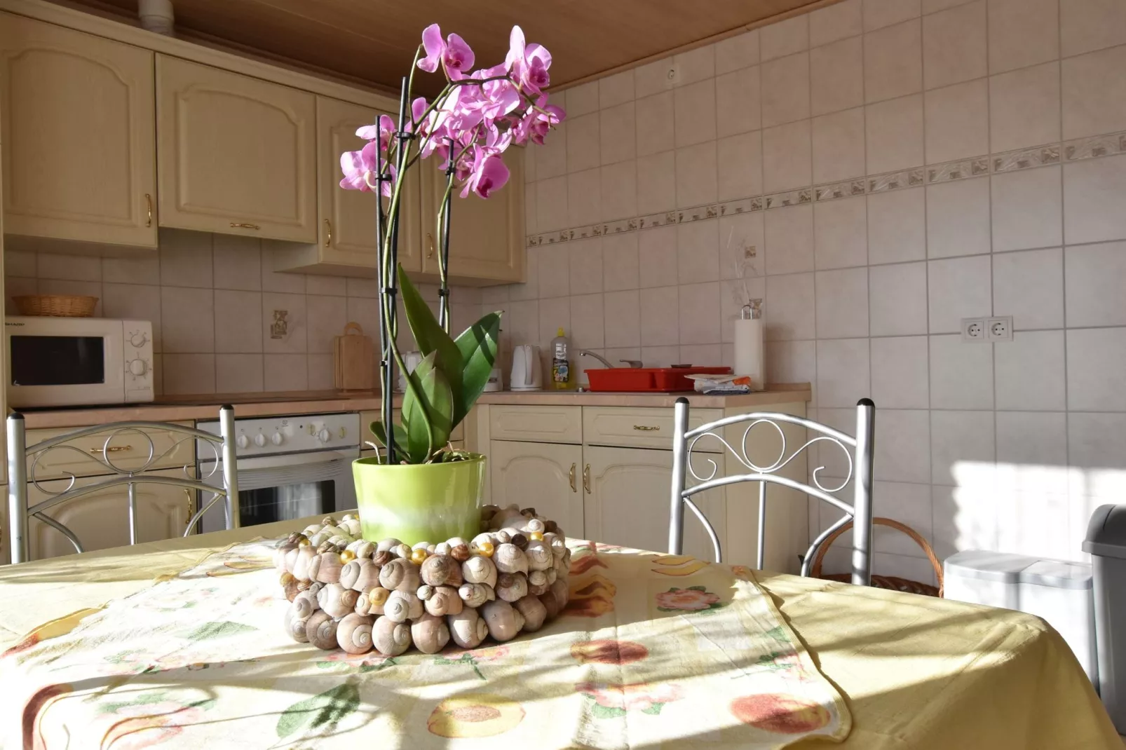 Ferienwohnung mit Koppelblick-Kitchen