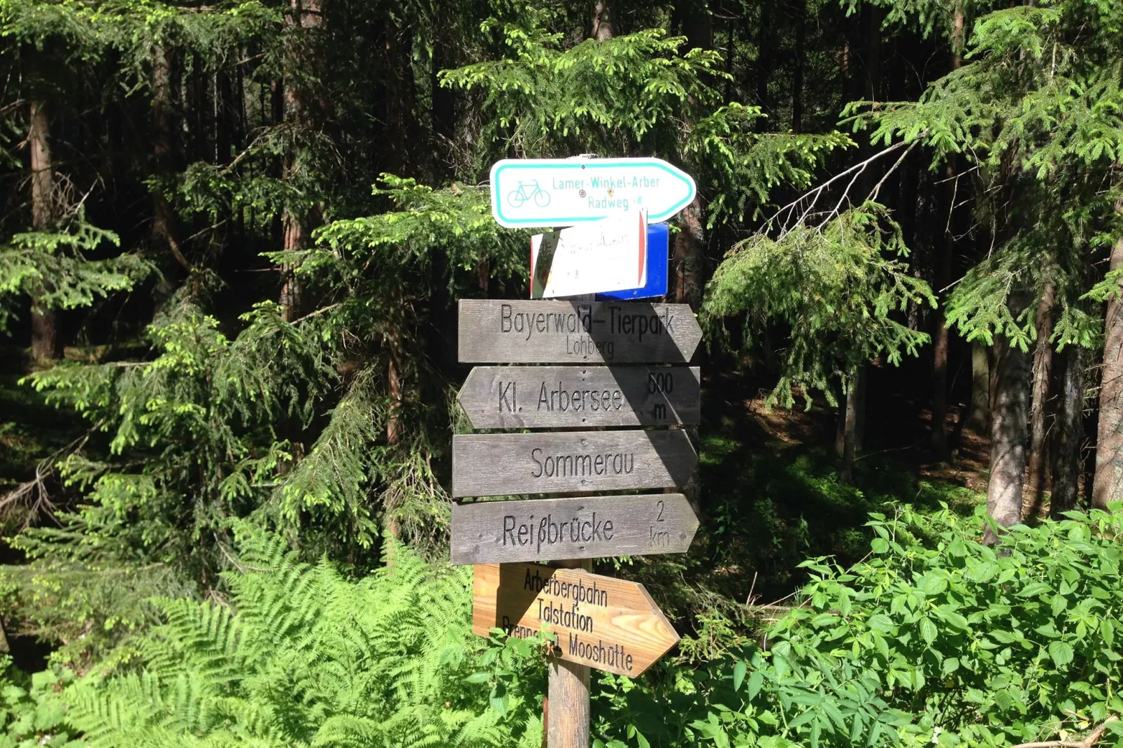 Weidhaus-Areas summer 20km