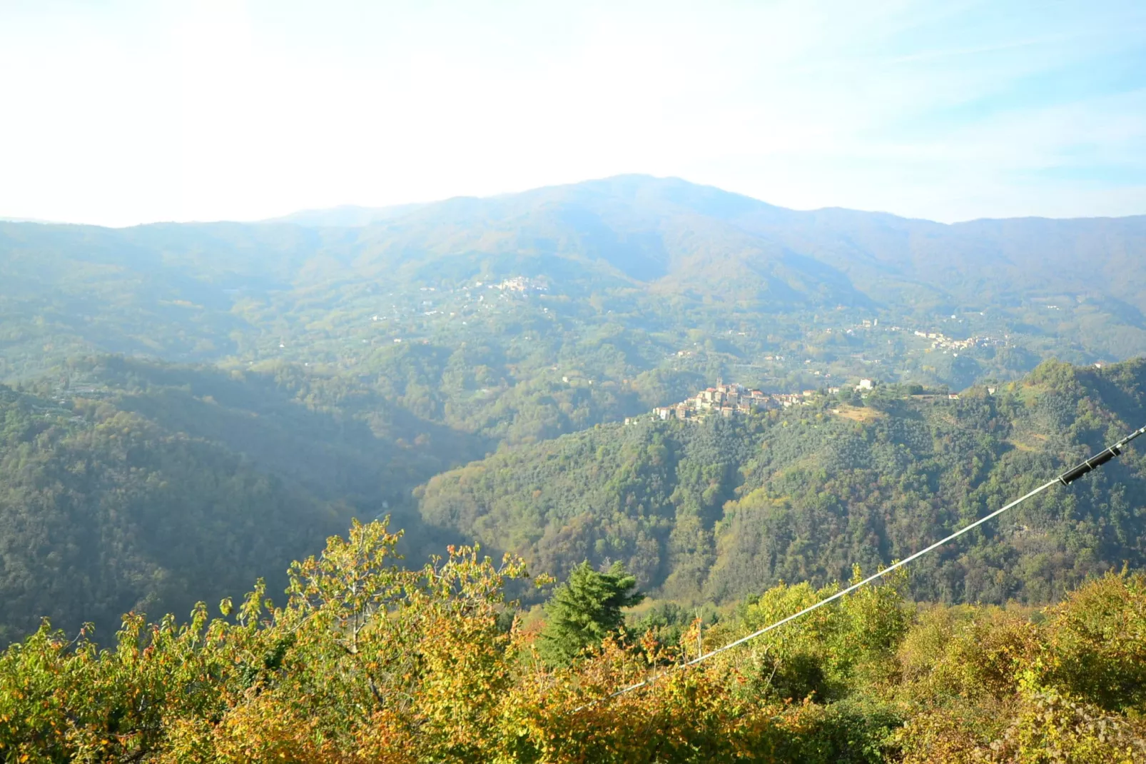 Partitoio Caprioli-View summer