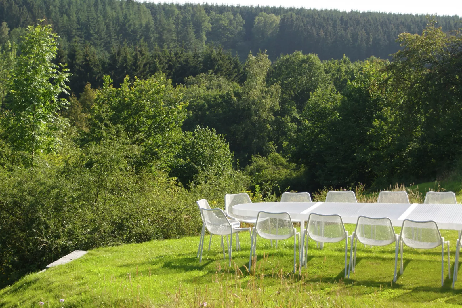 Domaine de Barbouyons-View summer