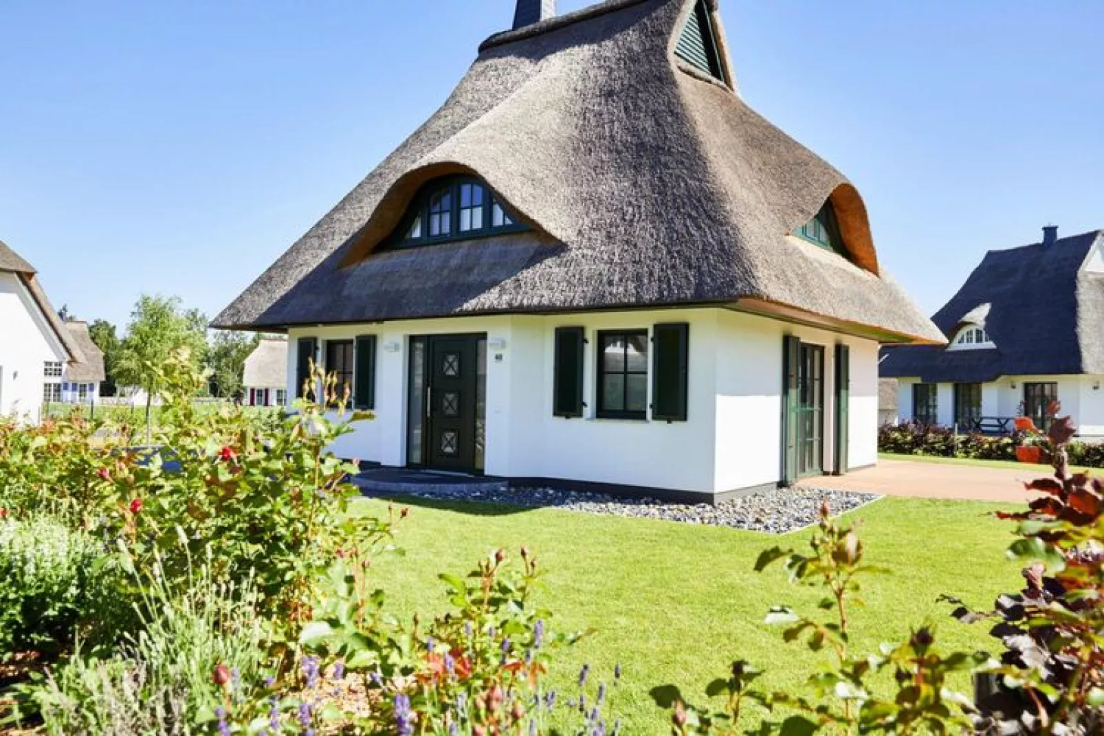 Seeadler 34-Exterior summer