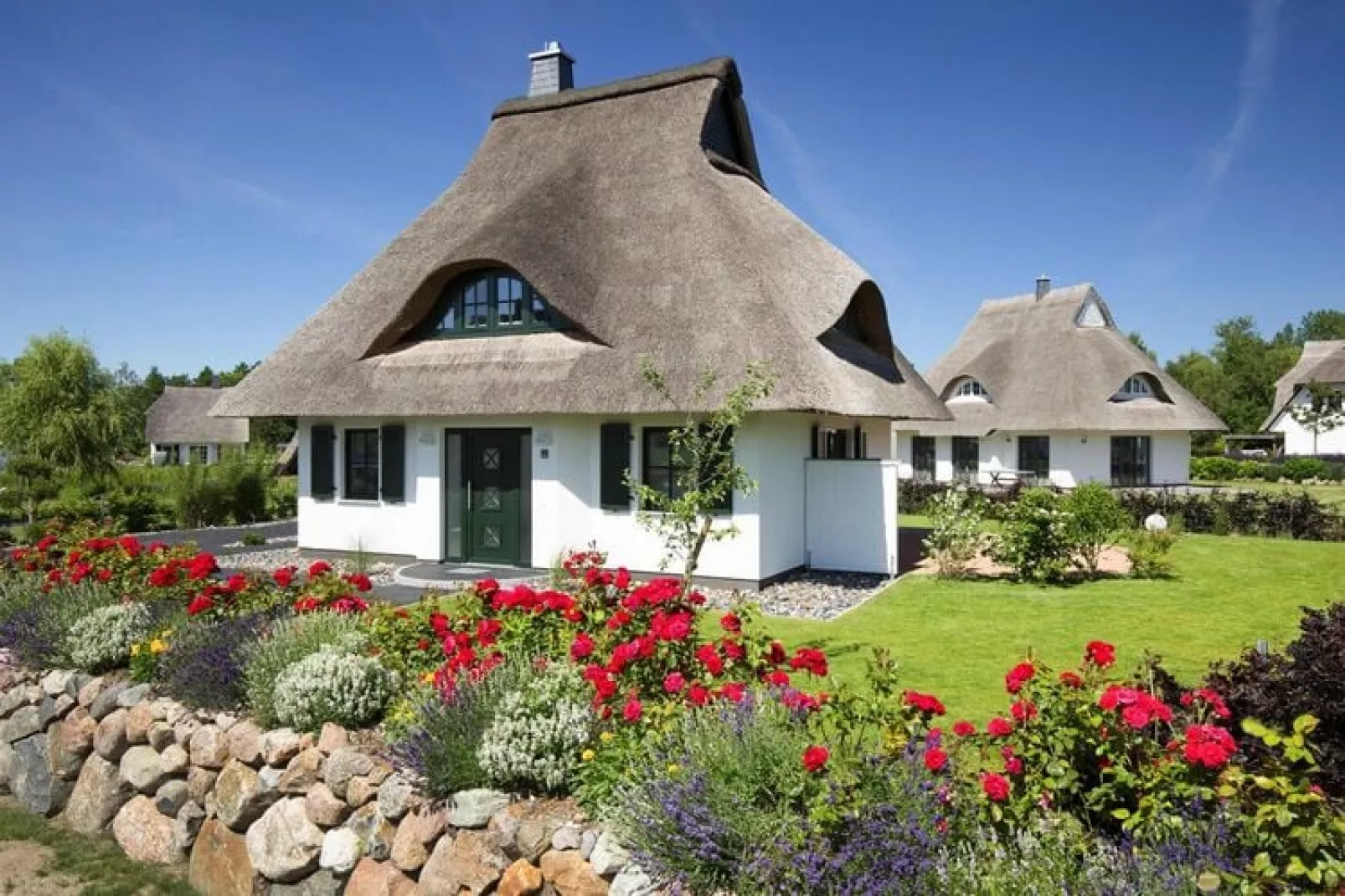 Seeadler 34-Exterior summer