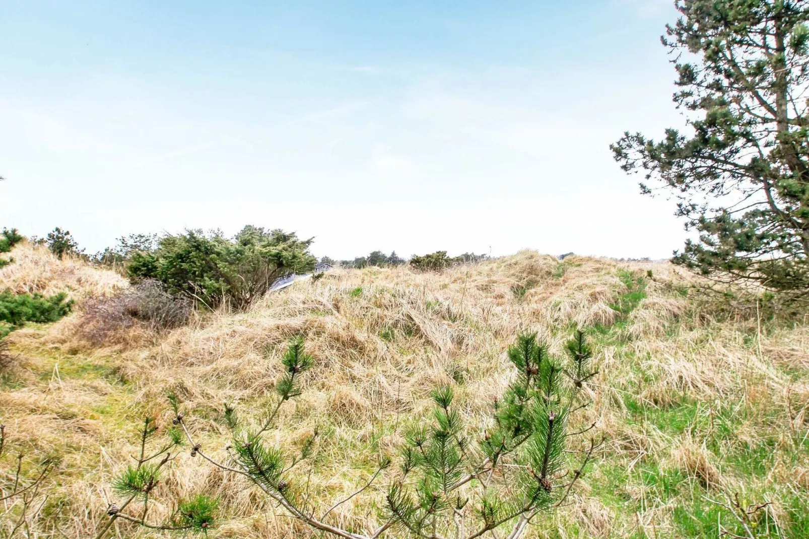 Maison de vacances pour 6 a Bindslev-By Traum-Vue