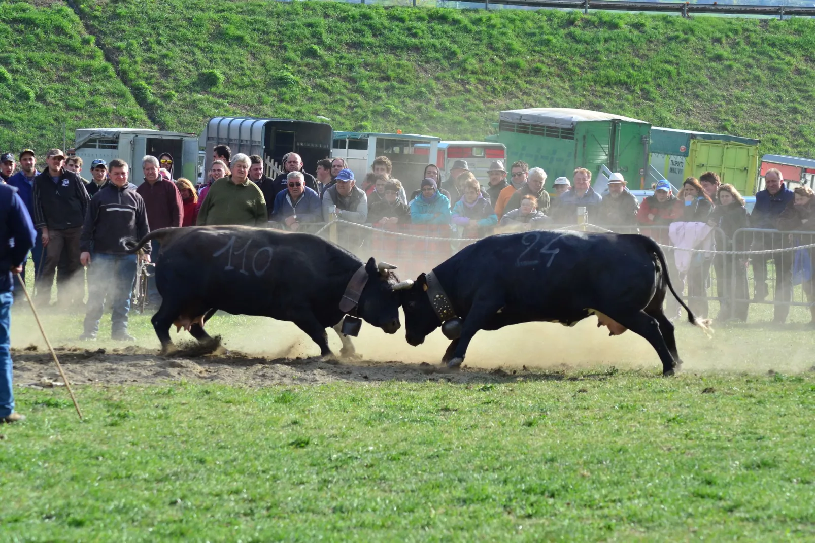 Chalet Antey Quadri B-Gebiete Sommer 20 km