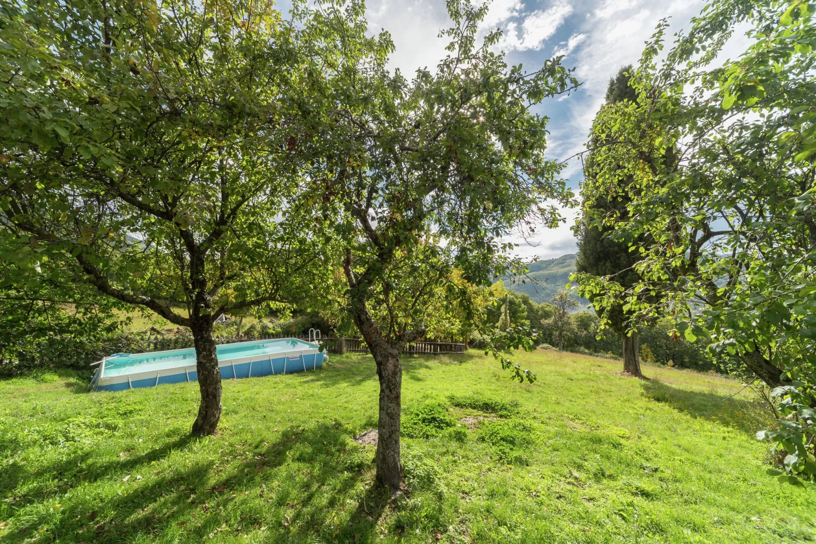 Partitoio Ovile-Gardens summer