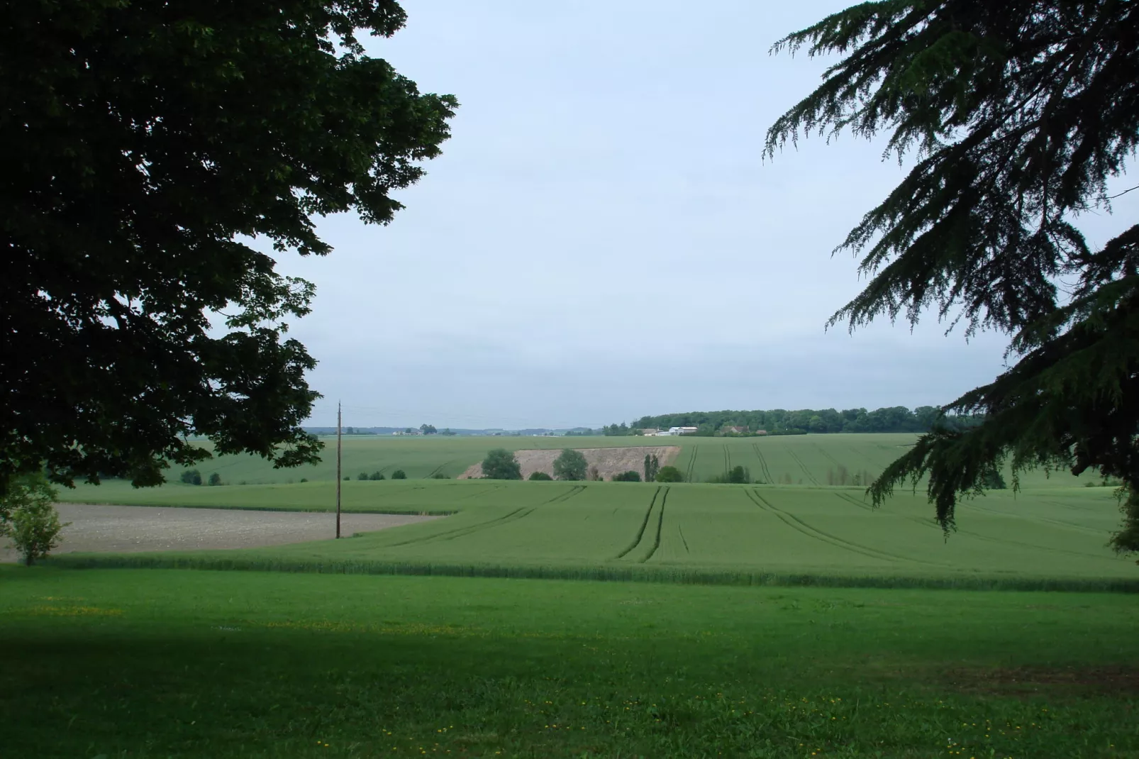 Villa Cussay-Areas summer 1km