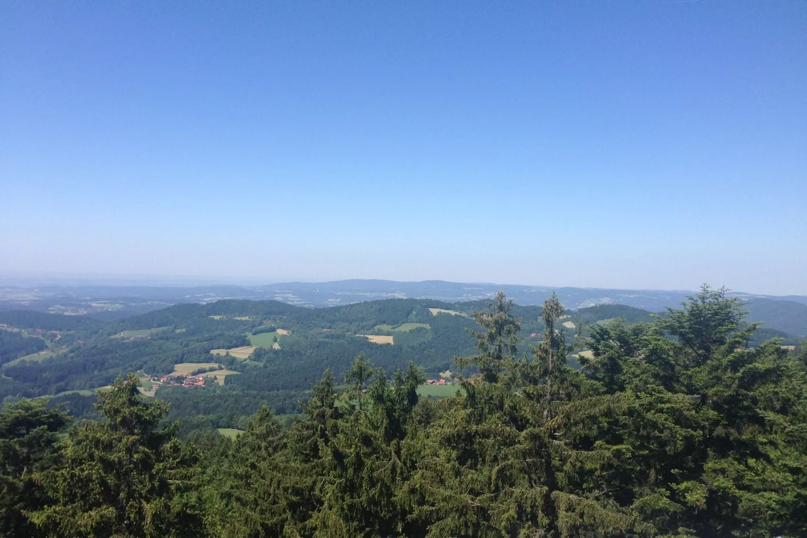 Bayerischer Wald-Gebiete Sommer 20 km