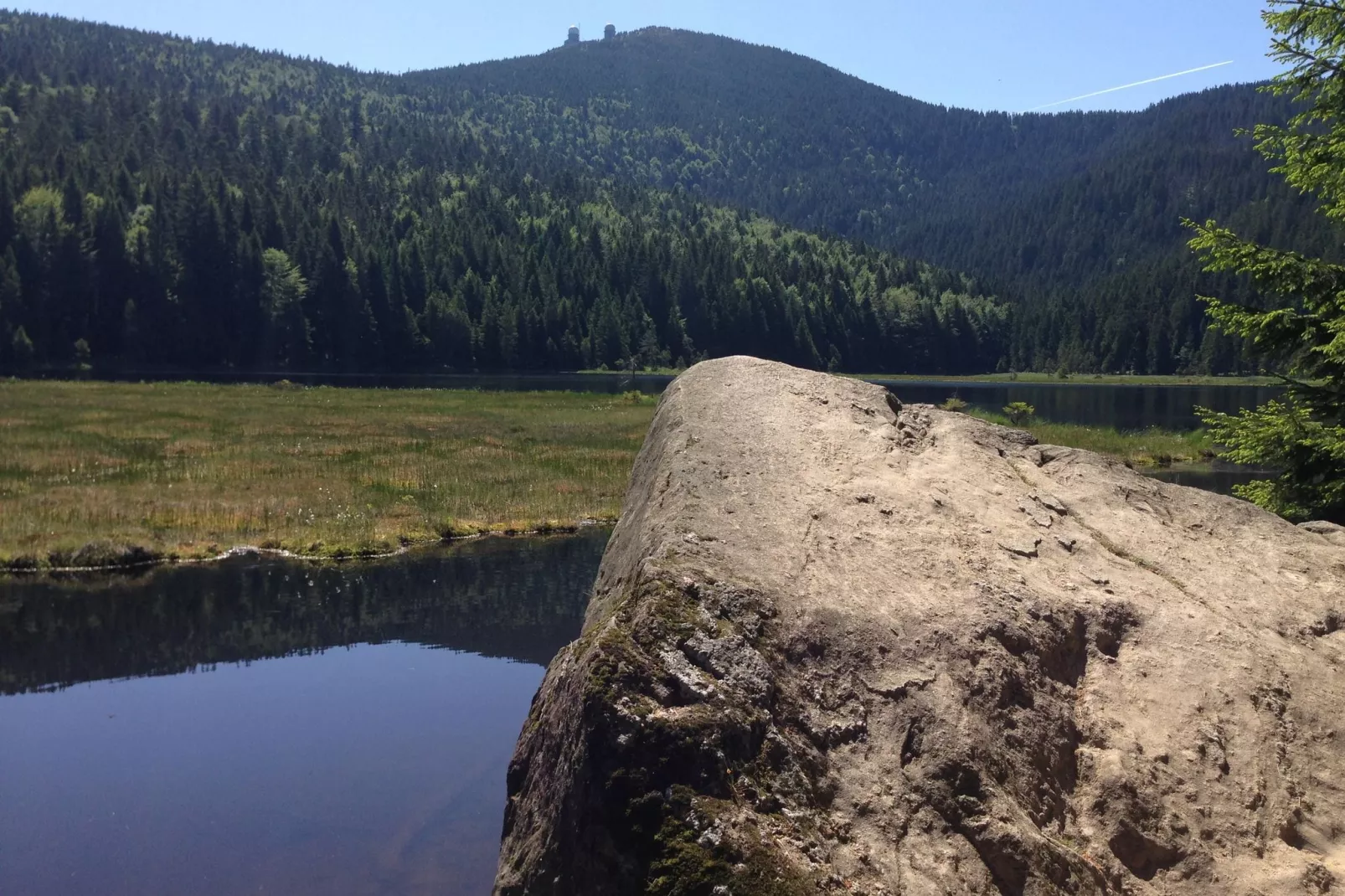 Bayerischer Wald-Gebiete Sommer 20 km