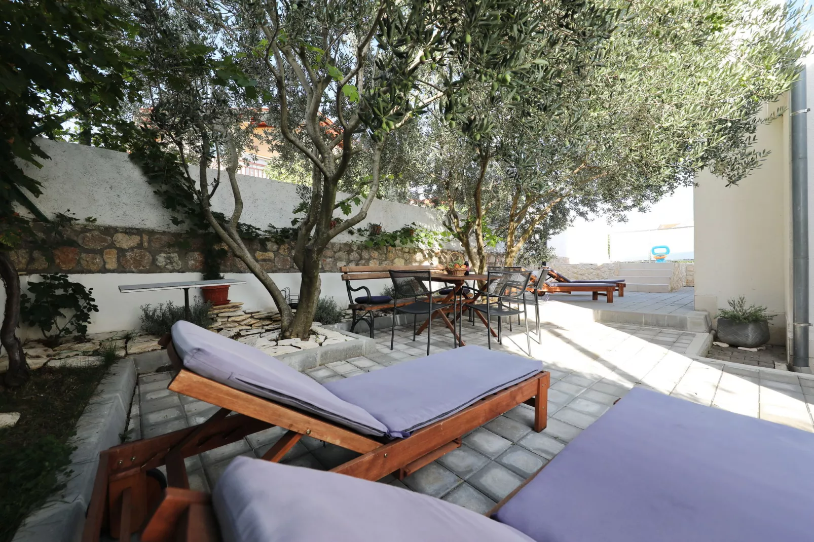 Apartment  Dajana-Gardens summer
