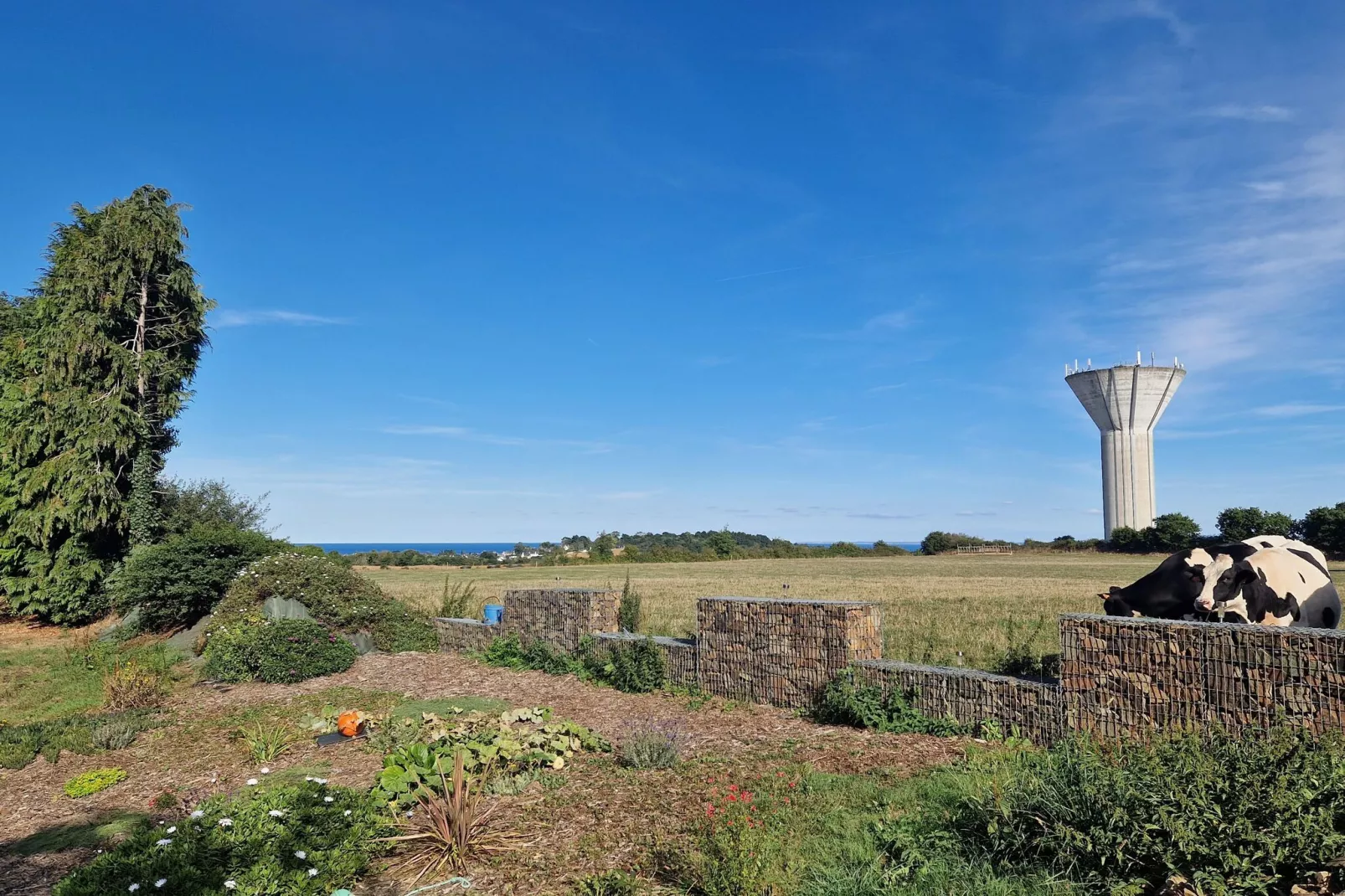 Maison plain-pied Etables-sur-Mer-View summer