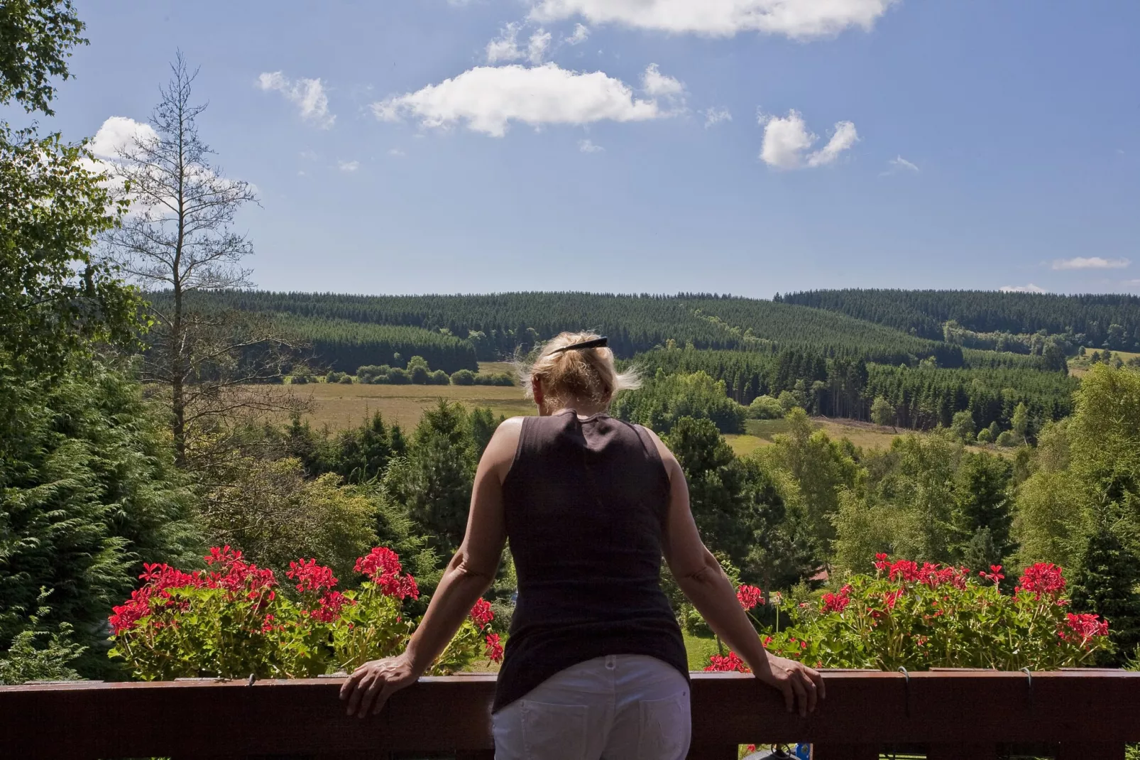 Camping Petite Suisse 5-View summer