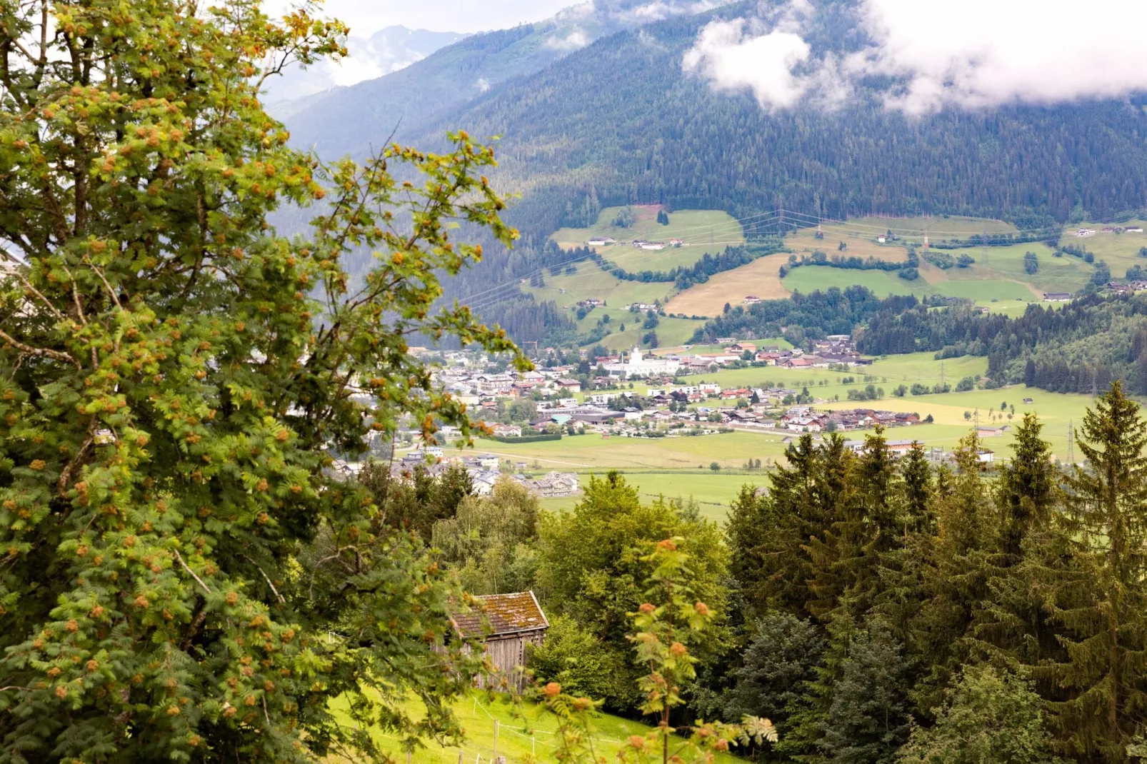Schlossblick-View summer