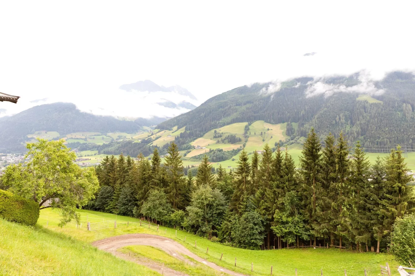 Schlossblick-Areas summer 5km