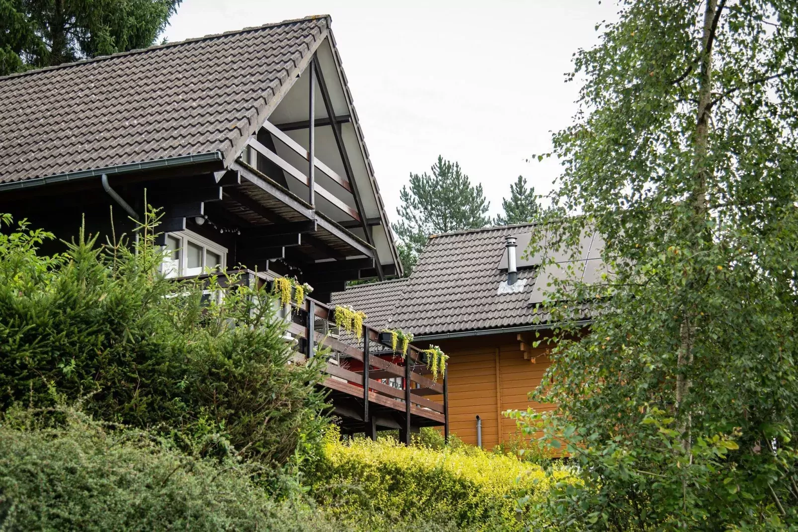 Camping Petite Suisse 6-Exterior summer