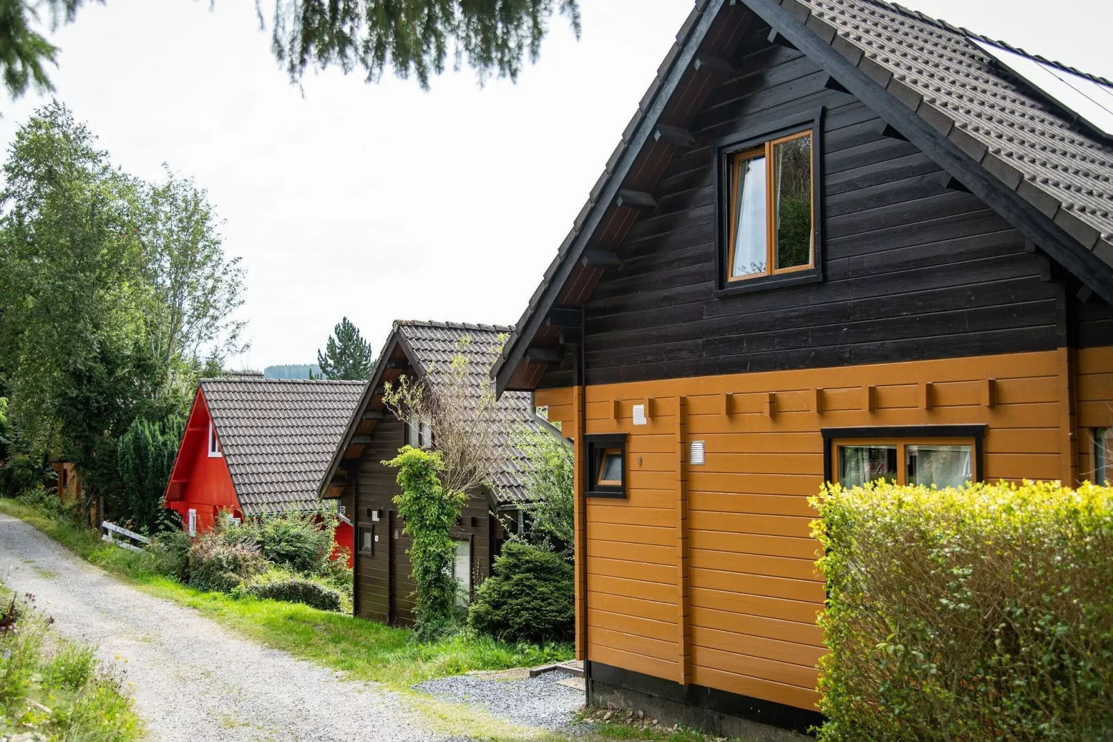 Camping Petite Suisse 6-Exterior summer