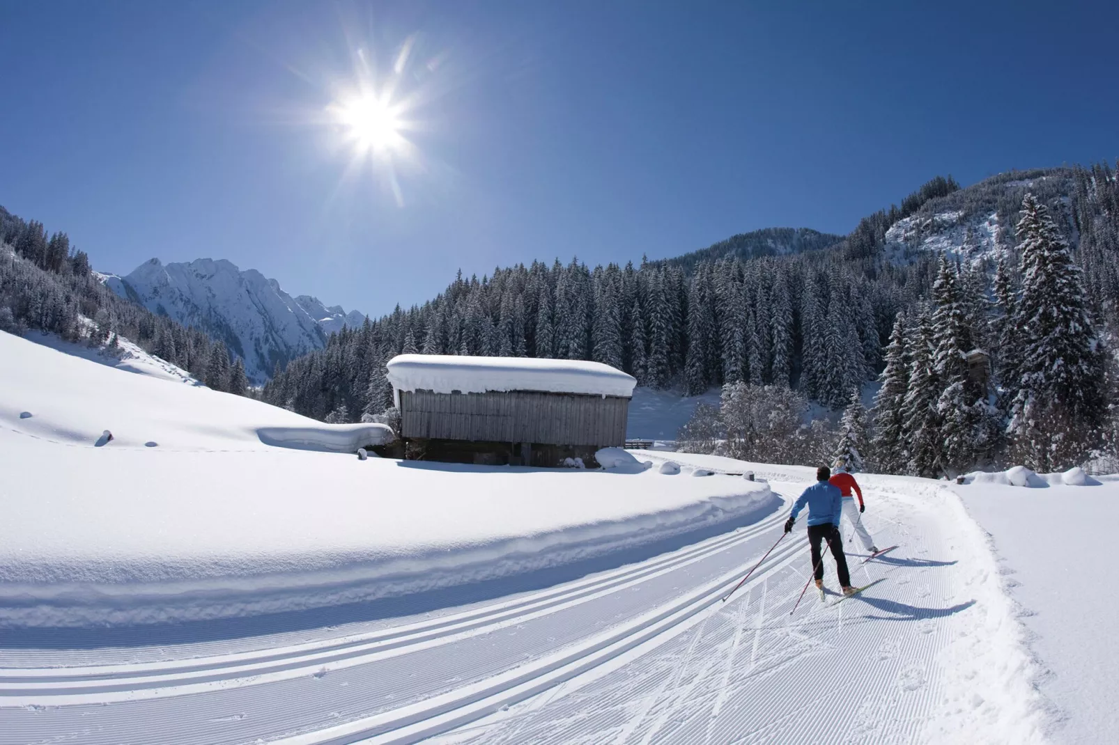 Apartments Zillertal 4P-Gebiet Winter 20 km