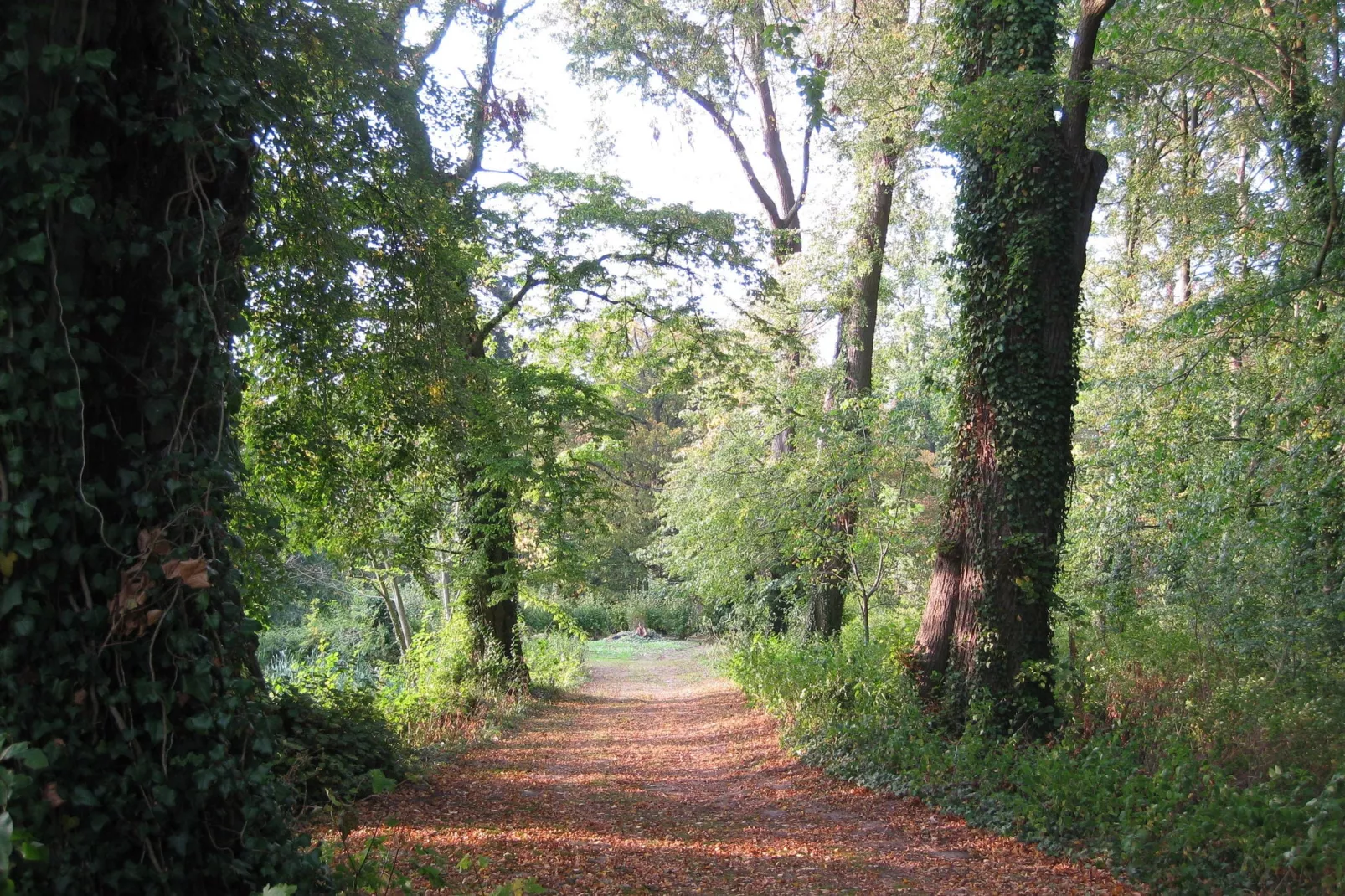 Beletage bei Gerdshagen-Areas summer 1km
