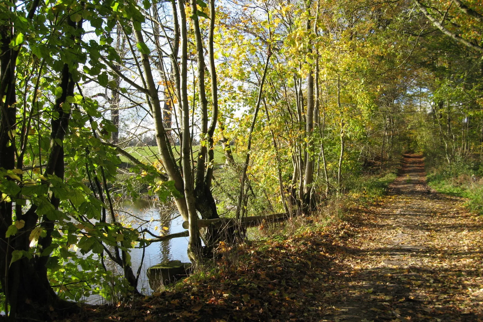 Ô de la roche-Areas summer 20km