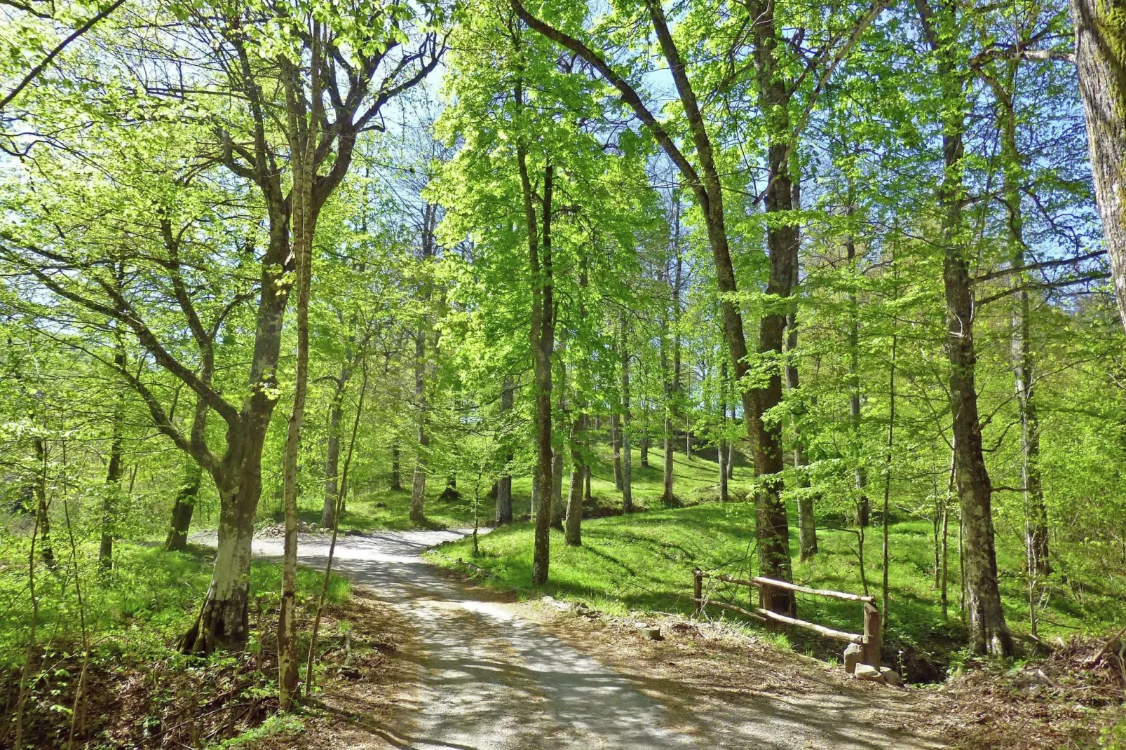 Gualtierotti-Areas summer 5km